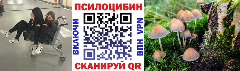 shop наркотические препараты Оханск Галлюциногенные грибы Psilocybine cubensis
